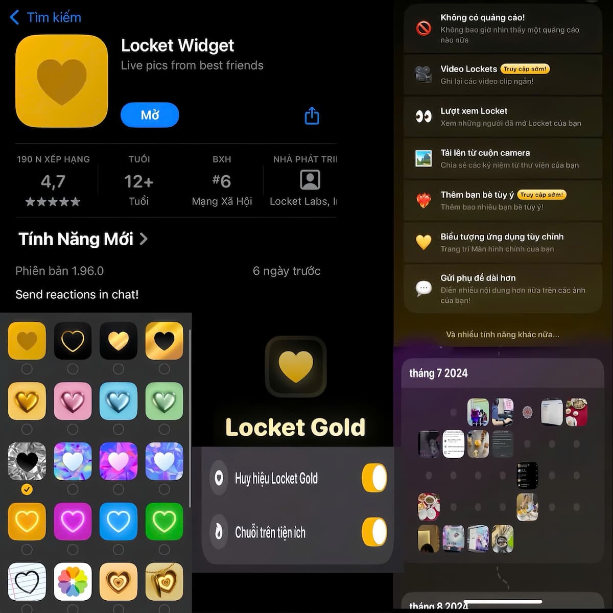 Locket Gold Hạ Cấp 12 Tháng Sử Dụng