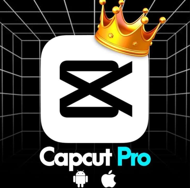 CapCut Pro Team 7DAY 🐋